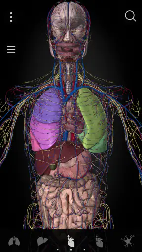 Anatomyka - 3D Anatomy Atlas screenshot 3