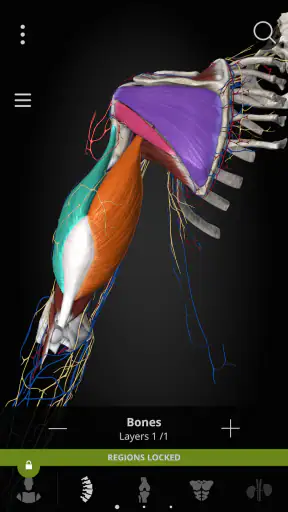 Anatomyka - 3D Anatomy Atlas screenshot 4