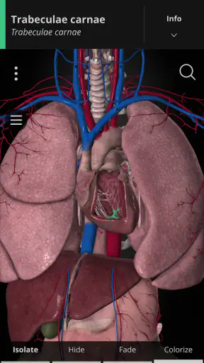 Anatomyka - 3D Anatomy Atlas screenshot 6
