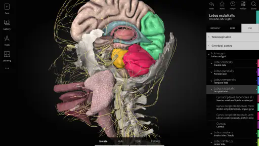 Anatomyka - 3D Anatomy Atlas screenshot 9