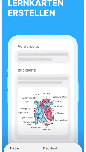 Noji: Vokabel Karteikarten screenshot 2