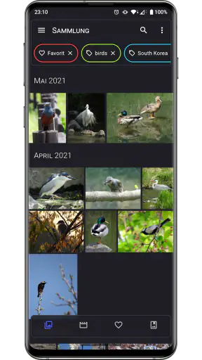 Aves Galerie screenshot 1