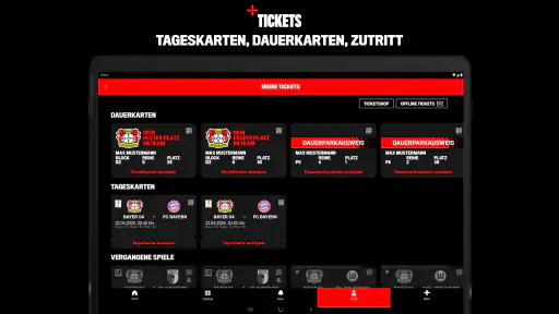 Bayer 04 Leverkusen screenshot 10