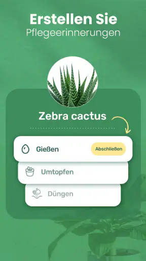 Blossom - Pflanzen bestimmen screenshot 5