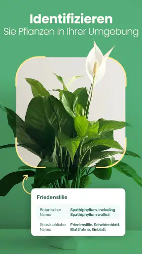 Blossom - Pflanzen bestimmen screenshot 8