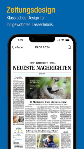 BNN ePaper screenshot 4