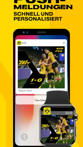 BVB screenshot 4