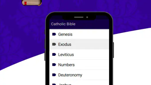 Catholic Bible Douay Rheims screenshot 5