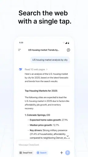 DeepSeek - KI-Assistent screenshot 3