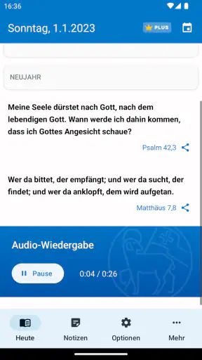 Die Losungen screenshot 4
