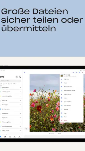 Dropbox: Cloud-Speicherplatz screenshot 9