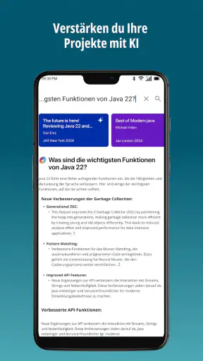 entwickler.de screenshot 3