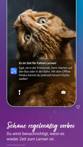 Fahren Lernen screenshot 7