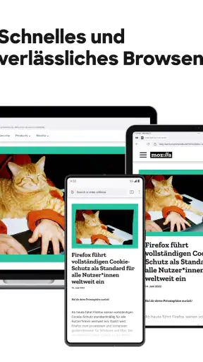 Firefox: internet browser screenshot 11