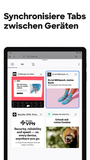 Firefox: internet browser screenshot 12