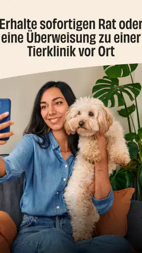 FirstVet screenshot 11