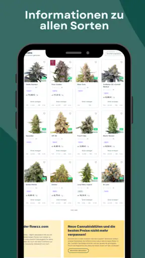 flowzz.com screenshot 11