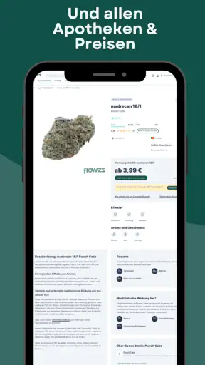flowzz.com screenshot 12