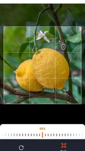 Gartenplaner fürs Gemüsebeet screenshot 6