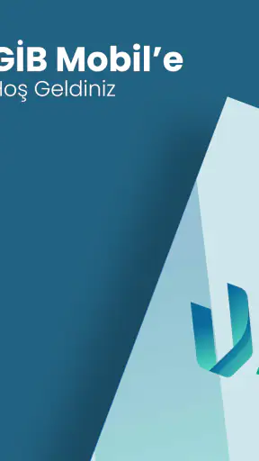GİB screenshot 7