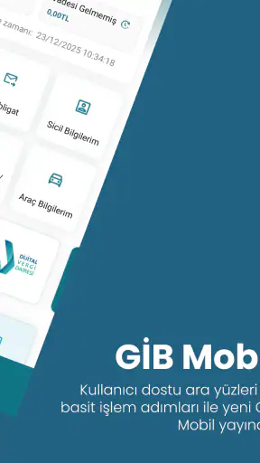 GİB screenshot 9