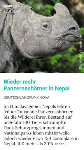 Good News App screenshot 4
