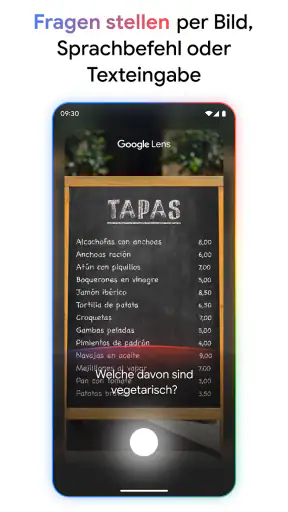 Google screenshot