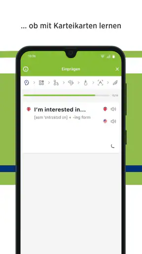 Green Line Vokabeltrainer screenshot 10