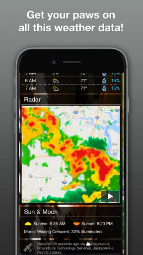 Grumpy Cat Weather screenshot 4