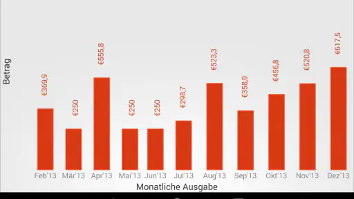 Haushaltsbuch & Ausgaben screenshot 12