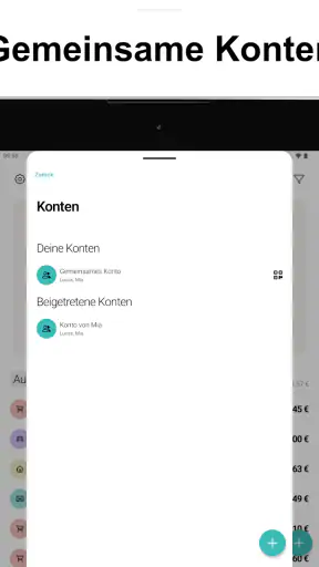 Haushaltsbuch Ausgaben Monee screenshot 12