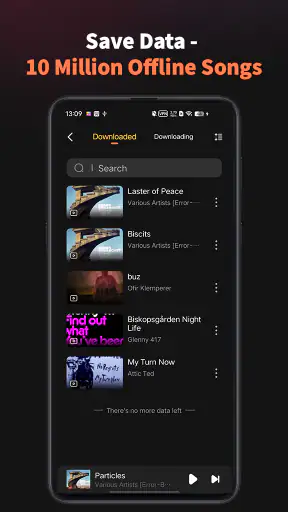 Hi Music：Offline Music Player screenshot 5