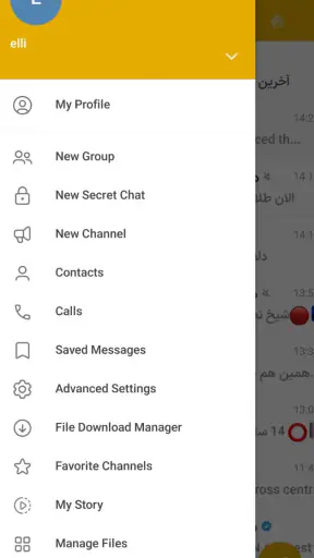 Hitel | طلایی گرام بدون فیلتر screenshot 5