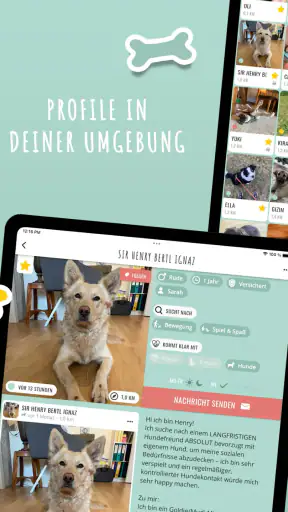 Hundelieb - Dogsharing screenshot 11