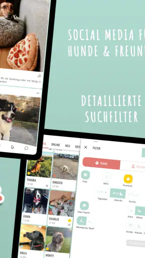 Hundelieb - Dogsharing screenshot 12