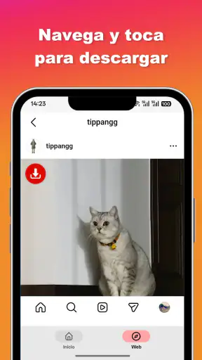 Ins Video- und Foto-Downloader screenshot 3