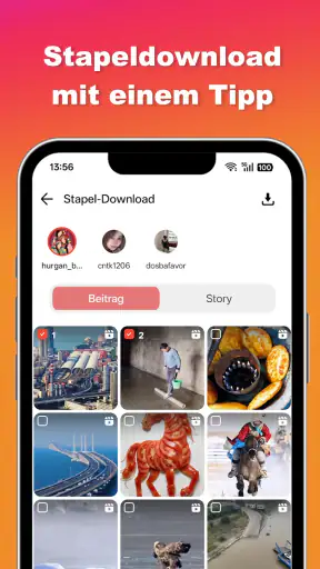 Ins Video- und Foto-Downloader screenshot 4