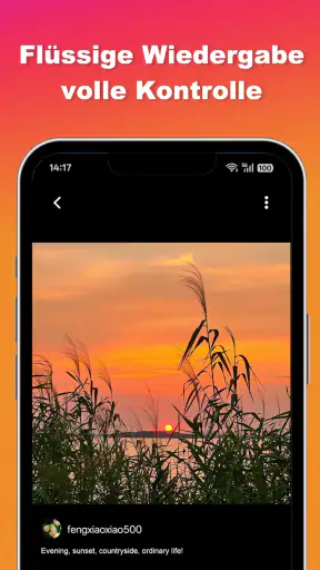 Ins Video- und Foto-Downloader screenshot 7
