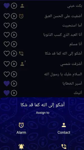 Islamic Ringtones and Songs screenshot 3