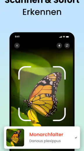 Käfer & Insekten Bestimmen screenshot 2