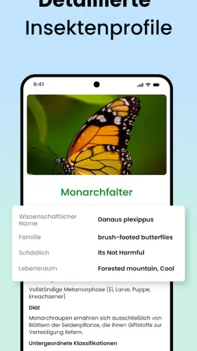 Käfer & Insekten Bestimmen screenshot 3