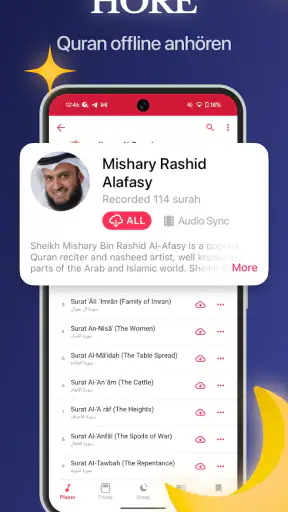 Quran Pro: Koran Kareem screenshot 1