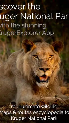 KrugerExplorer screenshot 10