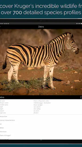 KrugerExplorer screenshot 11