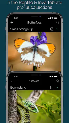 KrugerExplorer screenshot 5