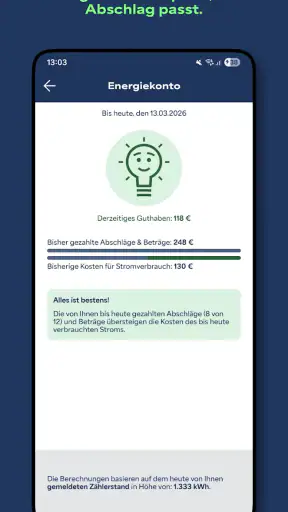 Meine enviaM-App: Strom & mehr screenshot 3