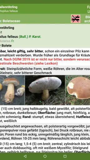 Meine Pilze (Pilzbestimmung) screenshot 12