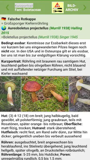 Meine Pilze (Pilzbestimmung) screenshot 6
