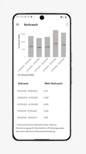 Meine Süwag screenshot 3
