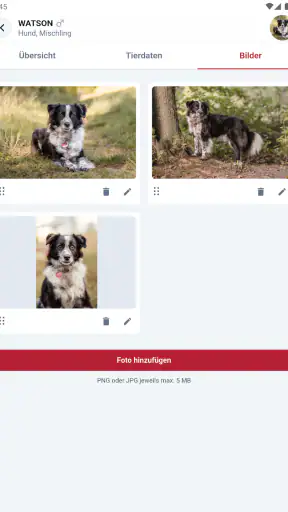 MeinTASSO screenshot 12